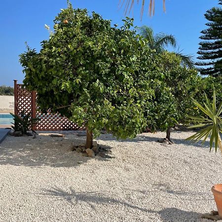 Coral Bungalow كورال باي المظهر الخارجي الصورة